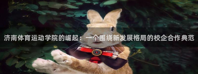 yy易游官方正版app集团logo：济南体育运动学院