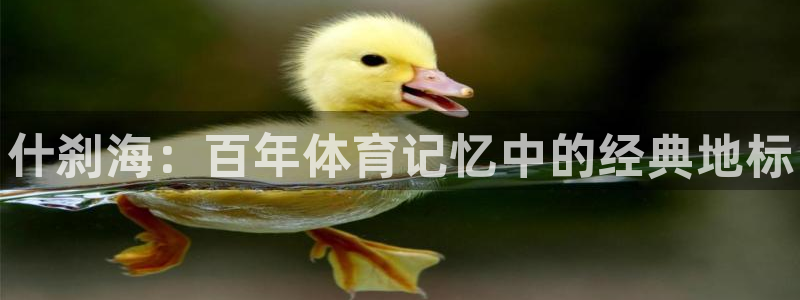 yy易游官方正版app娱乐40996：什刹海：百年体