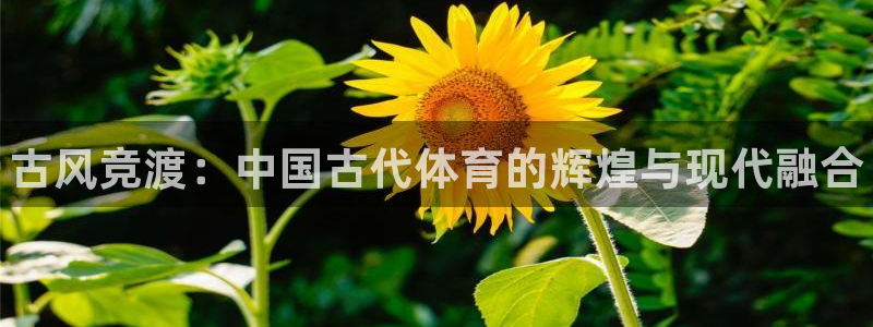 yy易游官网下载平台注册要钱吗：古风竞渡：中国古代体