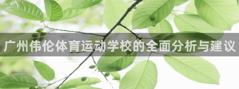 yy易游官方正版app代理