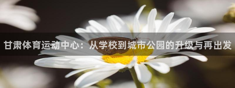 yy易游官方正版app神州