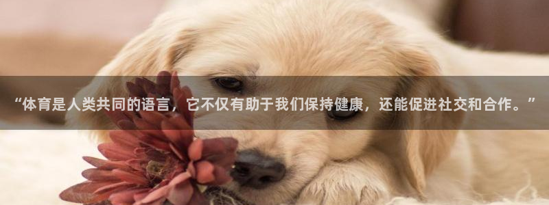 注册yy易游官方正版app：“体育是人类共同的语言，