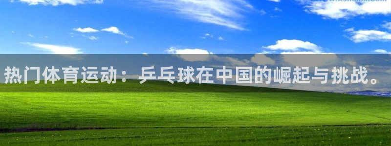yy易游官方正版app集团logo
