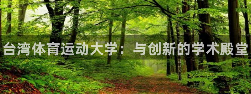yy易游官方平台体育