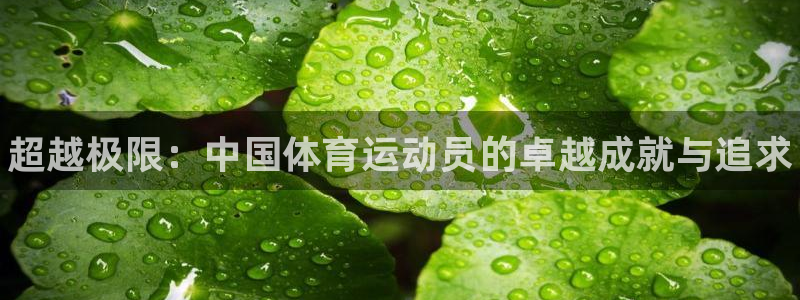 yy易游官方正版app官网：超越极限：中国体育运动员