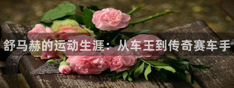 yy易游官网下载联系电话