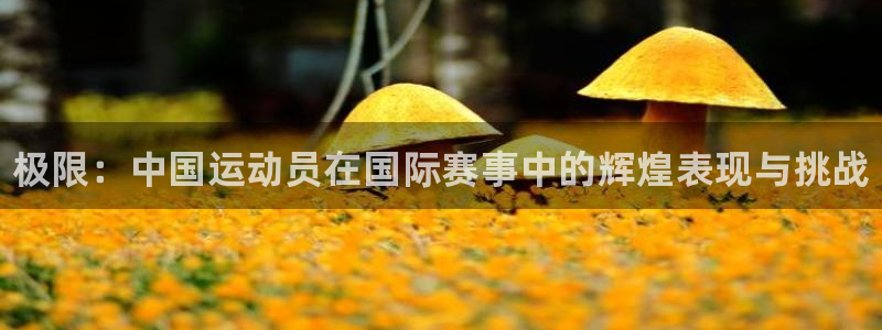 yy易游官方正版app新能源