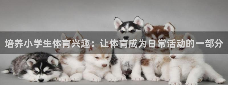 yy易游官网下载娱乐