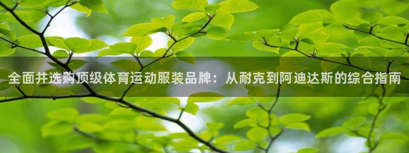 yy易游官方平台体育：全面并选购顶级体育运动服装品牌：从耐克