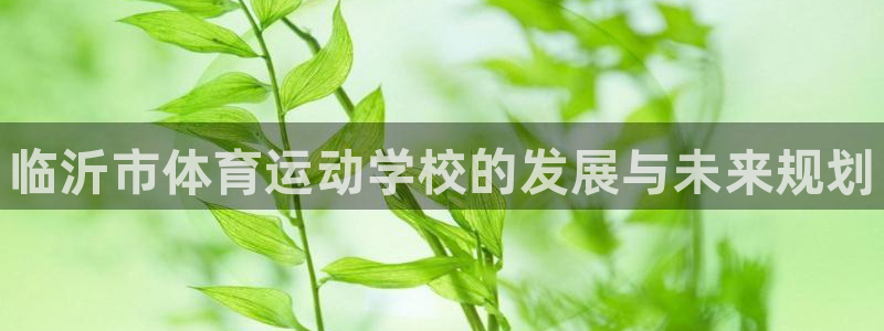 yy易游官方正版app集团官网网址