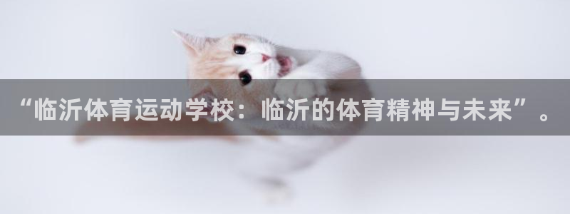 yy易游官方正版app集团logo：“临沂体育运动学校：临沂