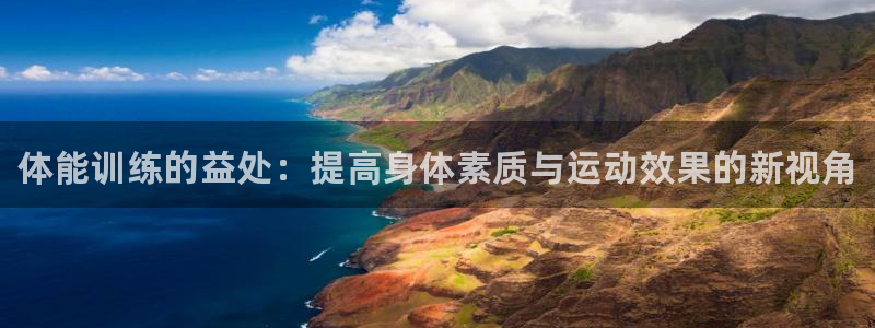 yy易游官方正版app集团logo