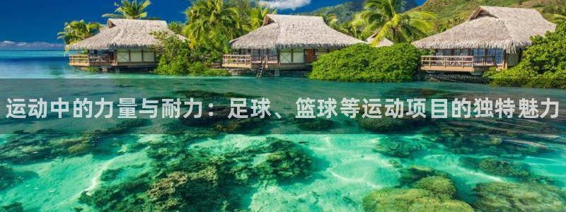 yy易游官网下载是干嘛的公司：运动中的力量与耐力：足