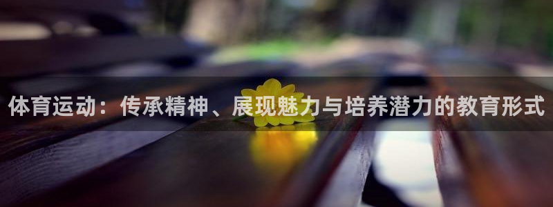 yy易游官方正版app集团官网网址