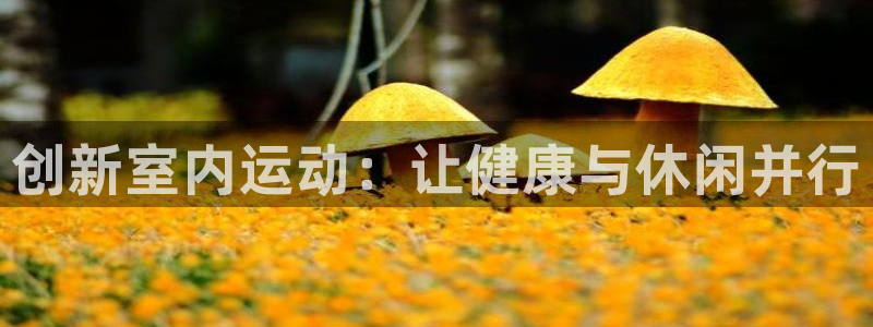 yy易游官网下载开户