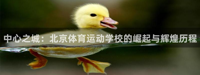 yy易游官网下载招商电话是多少啊