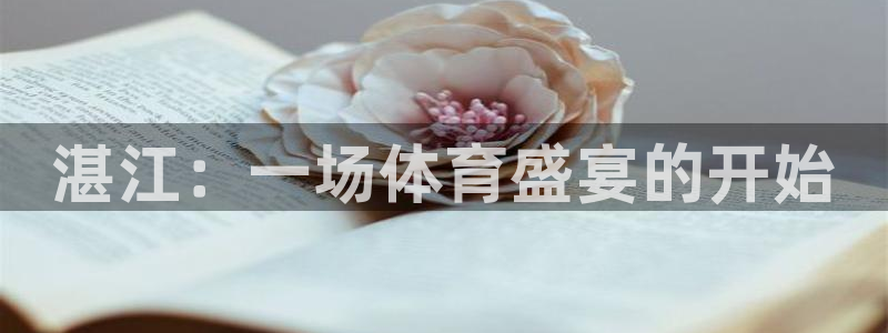 yy易游官方正版app代理