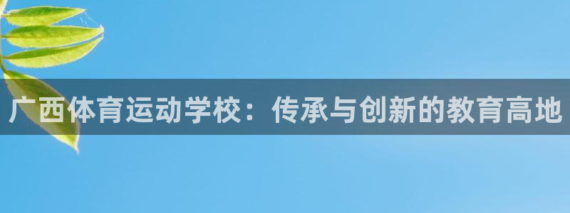 海南yy易游官网下载