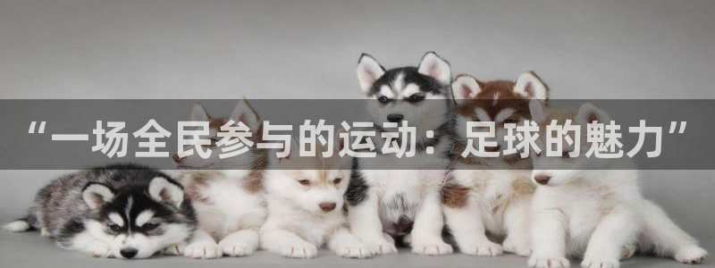 yy易游官方正版app新能源：“一场全民参与的运动：足球的魅