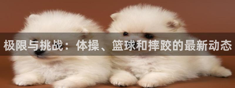 yy易游官网下载是干嘛的公司：极限与挑战：体操、篮球和摔跤的