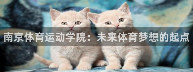 yy易游官网下载官方客服电话