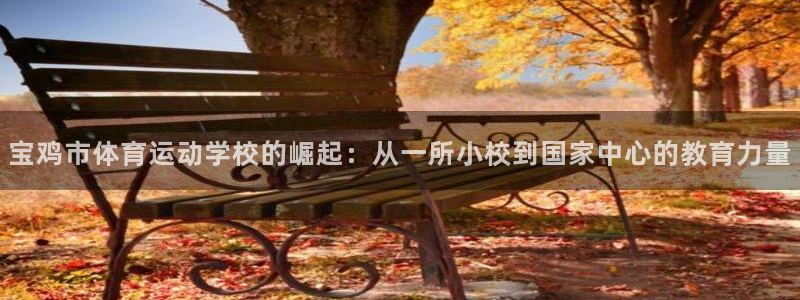 yy易游官网下载开户：宝鸡市体育运动学校的崛起：从一所小校到