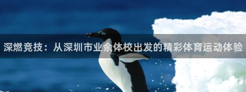 yy易游官方正版app集团官网网址：深燃竞技：从深圳市业余体