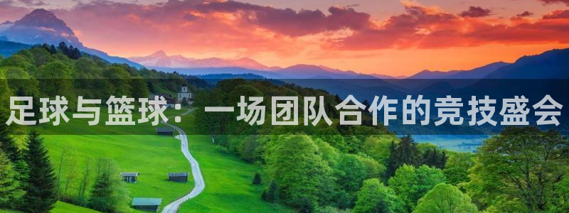 yy易游官网下载平台：足球与篮球：一场团队合作的竞技