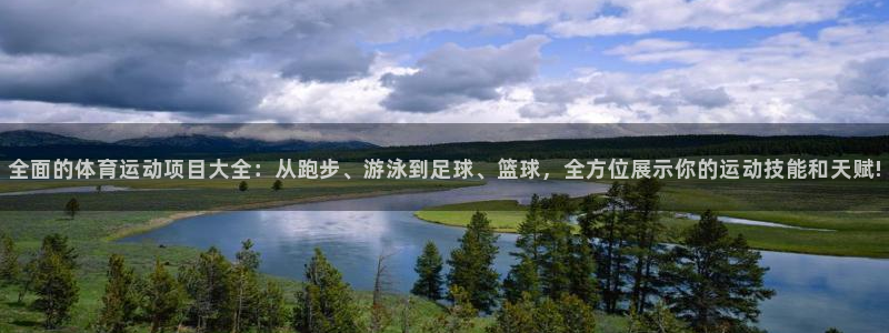 yy易游官网下载是干嘛的公司