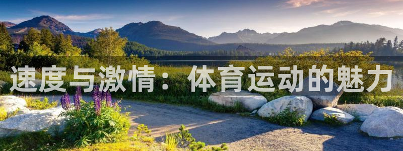 yy易游官网下载平台注册流程视频：速度与激情：体育运