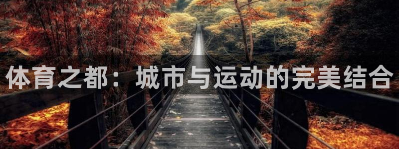 yy易游官方正版app集团官网首页网址：体育之都：城市与运动