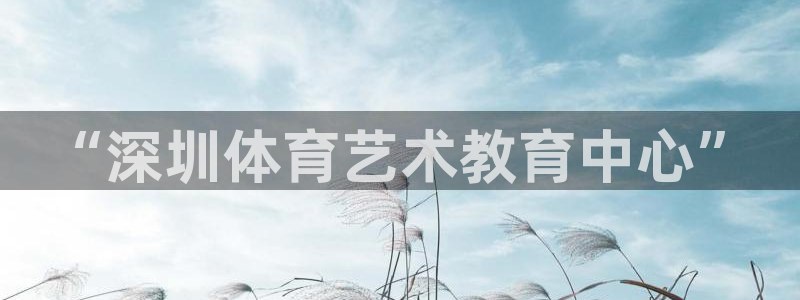 yy易游官方正版app娱乐代理怎么样