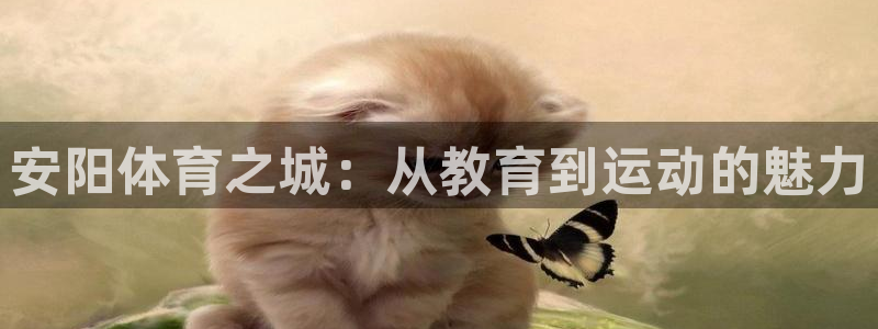 yy易游官网下载平台是正规平台吗知乎