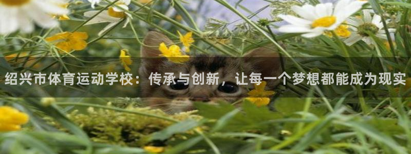 yy易游官网下载平台注册要钱吗是真的吗：绍兴市体育运动学校：